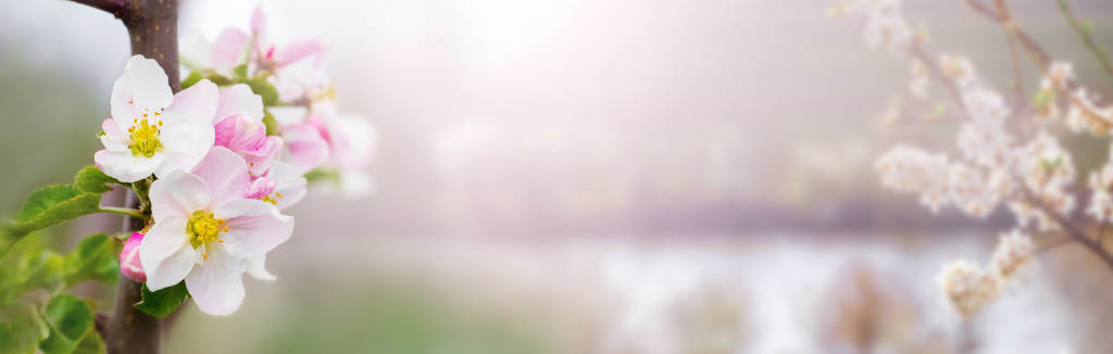 AdobeStock_406073789.jpeg