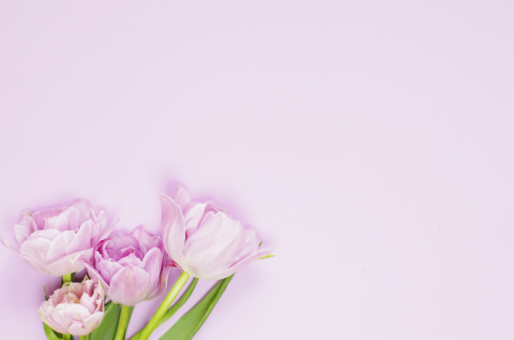 AdobeStock_308810884.jpeg